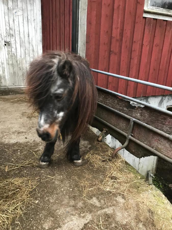 Bjorkely Gard Lägenhet Rasvag Exteriör bild