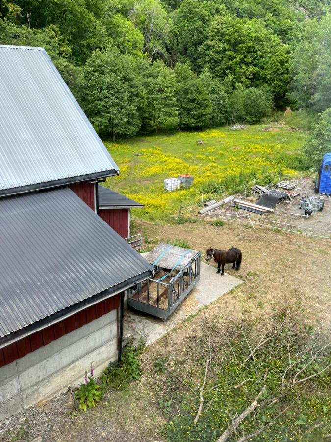 Bjorkely Gard Lägenhet Rasvag Exteriör bild